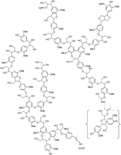 Structure of Lignin; Lignin oxidative chemistry